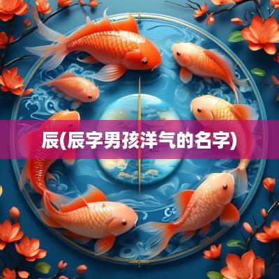 辰(辰字男孩洋气的名字)