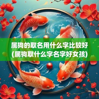 属狗的取名用什么字比较好(属狗取什么字名字好女孩)