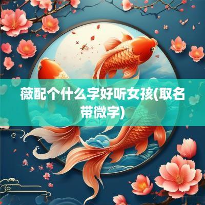 薇配个什么字好听女孩(取名带微字)