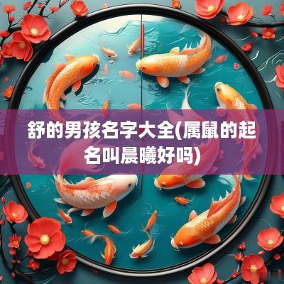 舒的男孩名字大全(属鼠的起名叫晨曦好吗)