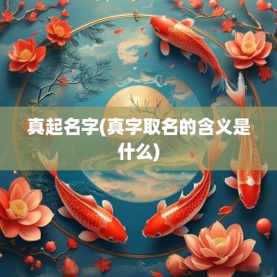 真起名字(真字取名的含义是什么)