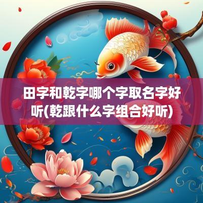 田字和乾字哪个字取名字好听(乾跟什么字组合好听)