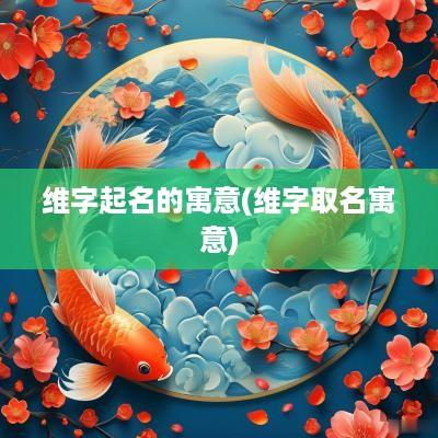 维字起名的寓意(维字取名寓意)
