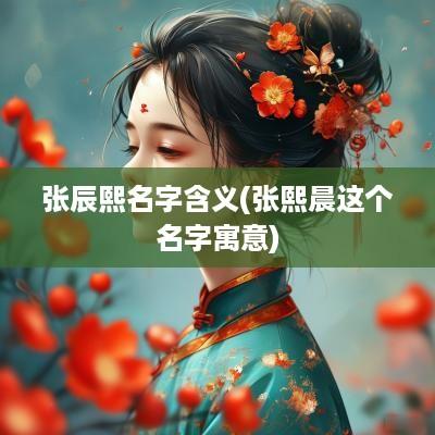 张辰熙名字含义(张熙晨这个名字寓意)