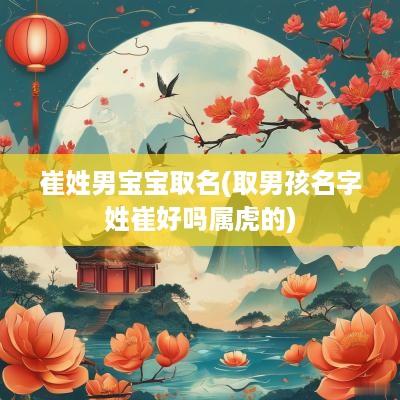 崔姓男宝宝取名(取男孩名字姓崔好吗属虎的)