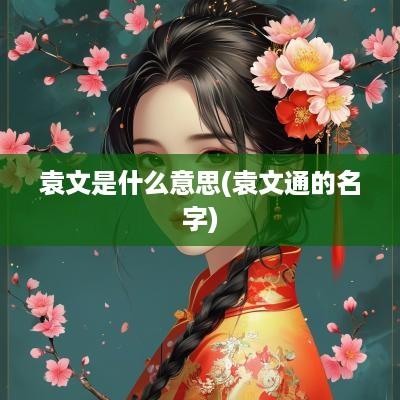 袁文是什么意思(袁文通的名字)