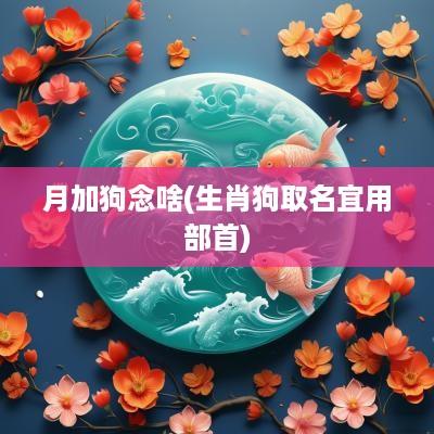 月加狗念啥(生肖狗取名宜用部首)