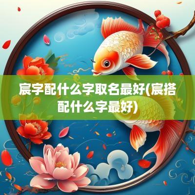 宸字配什么字取名最好(宸搭配什么字最好)