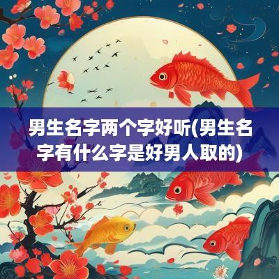 男生名字两个字好听(男生名字有什么字是好男人取的)