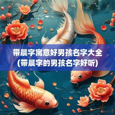 带晨字寓意好男孩名字大全(带晨字的男孩名字好听)