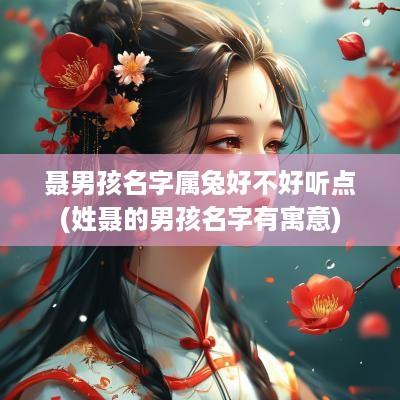 聂男孩名字属兔好不好听点(姓聂的男孩名字有寓意)