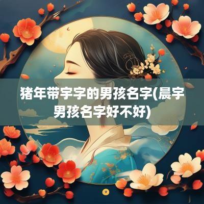 猪年带宇字的男孩名字(晨宇男孩名字好不好)