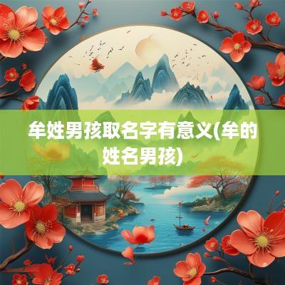 牟姓男孩取名字有意义(牟的姓名男孩)