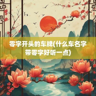 零字开头的车牌(什么车名字带零字好听一点)