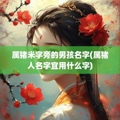属猪米字旁的男孩名字(属猪人名字宜用什么字)
