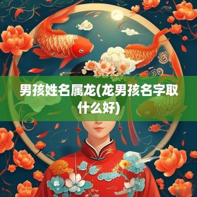男孩姓名属龙(龙男孩名字取什么好)