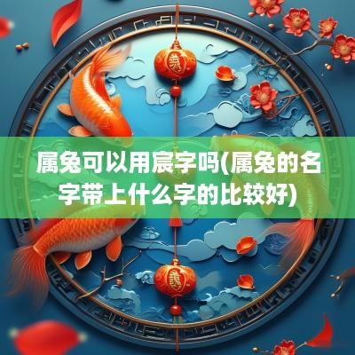 属兔可以用宸字吗(属兔的名字带上什么字的比较好)