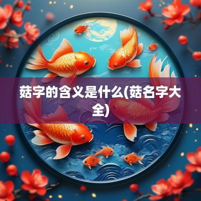 菇字的含义是什么(菇名字大全)