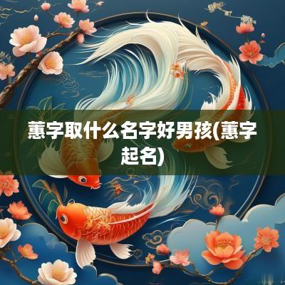 蕙字取什么名字好男孩(蕙字起名)