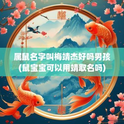 属鼠名字叫梅靖杰好吗男孩(鼠宝宝可以用靖取名吗)