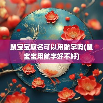 鼠宝宝取名可以用航字吗(鼠宝宝用航字好不好)