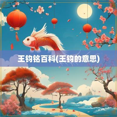 王钧铭百科(王钧的意思)