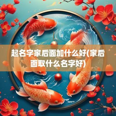 起名字家后面加什么好(家后面取什么名字好)