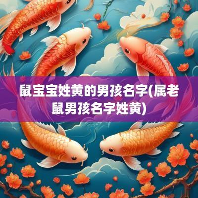 鼠宝宝姓黄的男孩名字(属老鼠男孩名字姓黄)