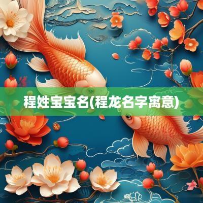 程姓宝宝名(程龙名字寓意)