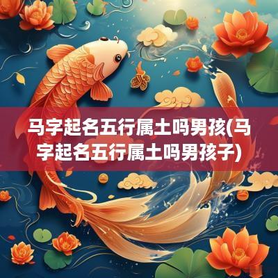 马字起名五行属土吗男孩(马字起名五行属土吗男孩子)
