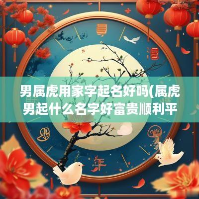 男属虎用家字起名好吗(属虎男起什么名字好富贵顺利平安)