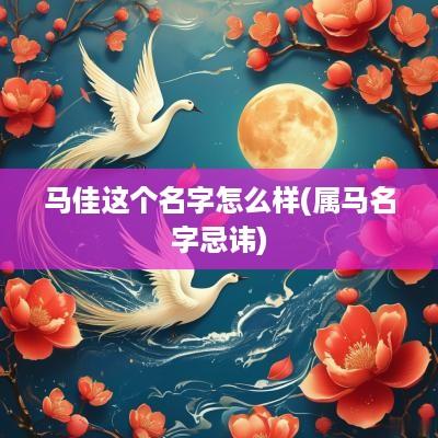 马佳这个名字怎么样(属马名字忌讳)