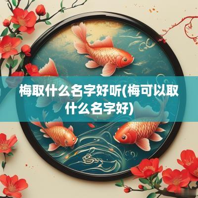 梅取什么名字好听(梅可以取什么名字好)