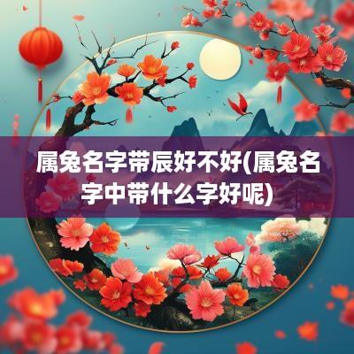 属兔名字带辰好不好(属兔名字中带什么字好呢)