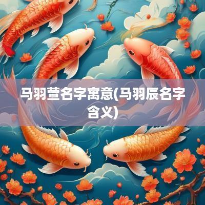 马羽萱名字寓意(马羽辰名字含义)