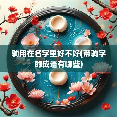 驹用在名字里好不好(带驹字的成语有哪些)