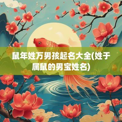 蛇年姓万男孩起名大全(姓于属鼠的男宝姓名)