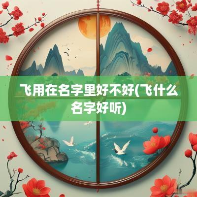 飞用在名字里好不好(飞什么名字好听)