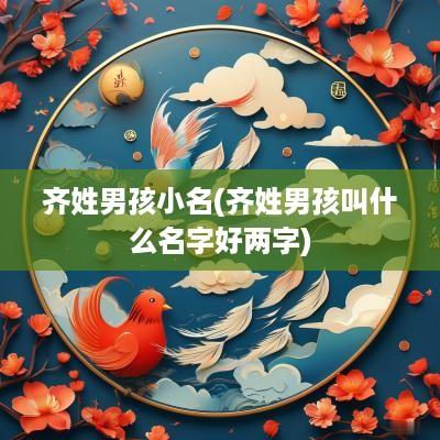 齐姓男孩小名(齐姓男孩叫什么名字好两字)