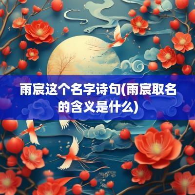 雨宸这个名字诗句(雨宸取名的含义是什么)