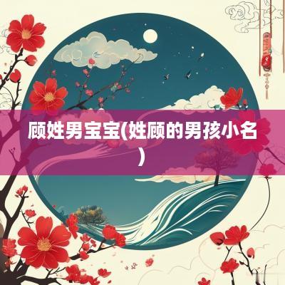 顾姓男宝宝(姓顾的男孩小名)