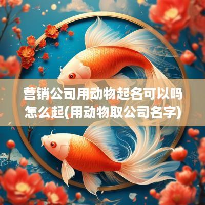 营销公司用动物起名可以吗怎么起(用动物取公司名字)
