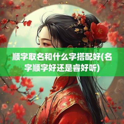 顺字取名和什么字搭配好(名字顺字好还是睿好听)