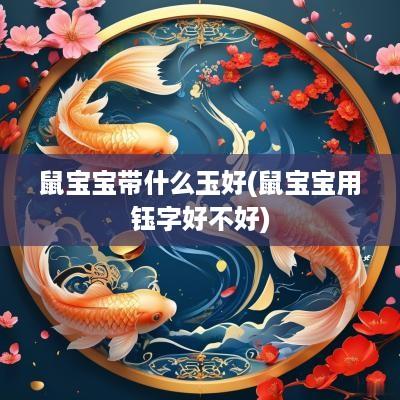 鼠宝宝带什么玉好(鼠宝宝用钰字好不好)