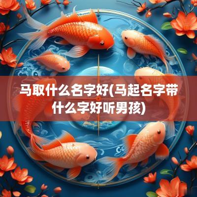 马取什么名字好(马起名字带什么字好听男孩)