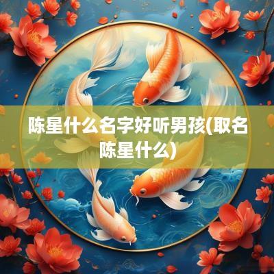 陈星什么名字好听男孩(取名陈星什么)