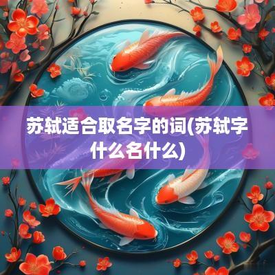 苏轼适合取名字的词(苏轼字什么名什么)