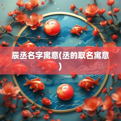 辰丞名字寓意(丞的取名寓意)