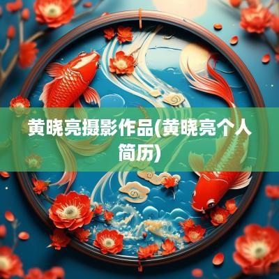 黄晓亮摄影作品(黄晓亮个人简历)