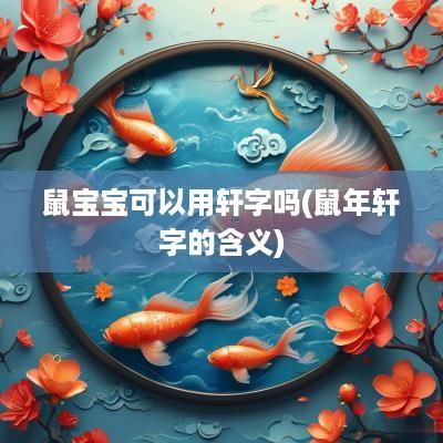 鼠宝宝可以用轩字吗(蛇年轩字的含义)
